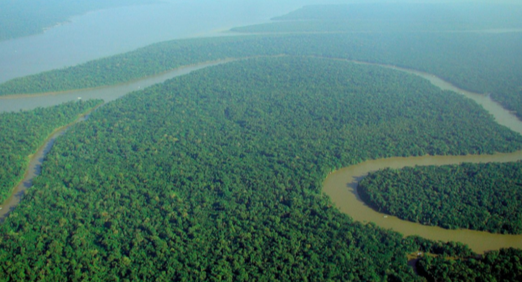 Can we steer away from disaster in the Amazon?