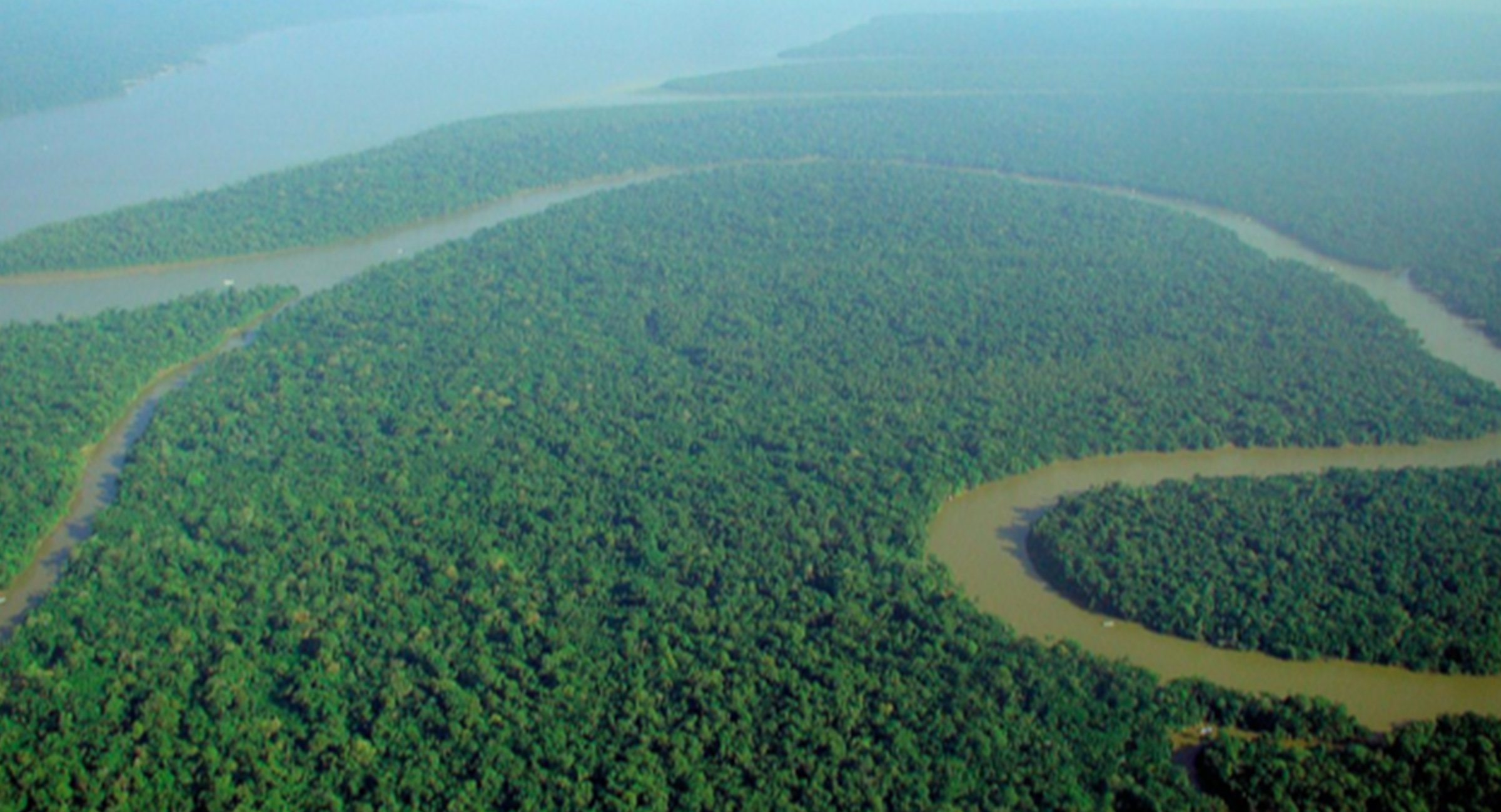 Can we steer away from disaster in the Amazon?